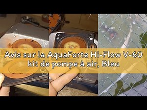 Avis sur la AquaForte Hi-Flow V-60 kit de pompe à air, Bleu