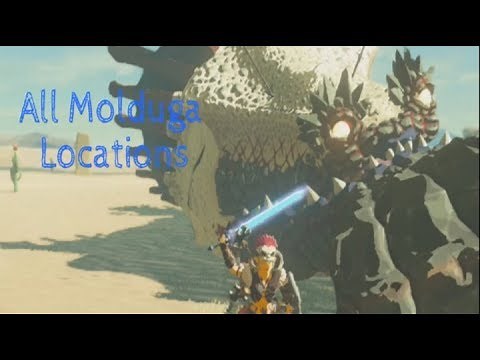 The Legend of Zelda: Breath of the Wild- All Molduga Locations