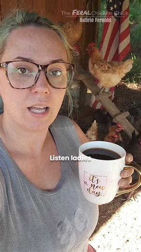 89 reactions · 12 shares | You deserve it boo #chickens #chicken #funny #Advice #fypviralシ #Tennessee #homestead | Aubrie Fernald | Facebook