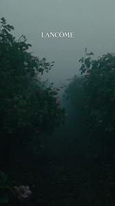 Discover the new Absolue Les Parfum collection: 11 unique scents unveiling​ the rose like you have never experienced before. | Lancôme | Facebook