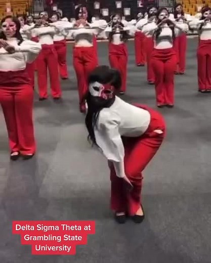 Dynamic Delta Sigma Theta Strolling Compilation