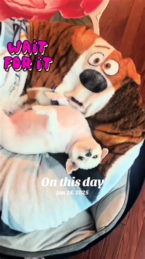 #onthisday