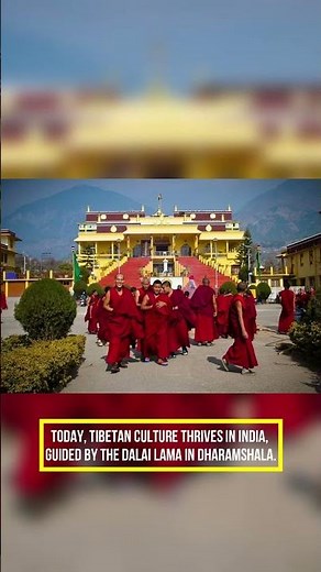 The Truth About India & Tibet Friendship #IndiaTibet #FreeTibet #IndiaSupportsTibet #tibettruth