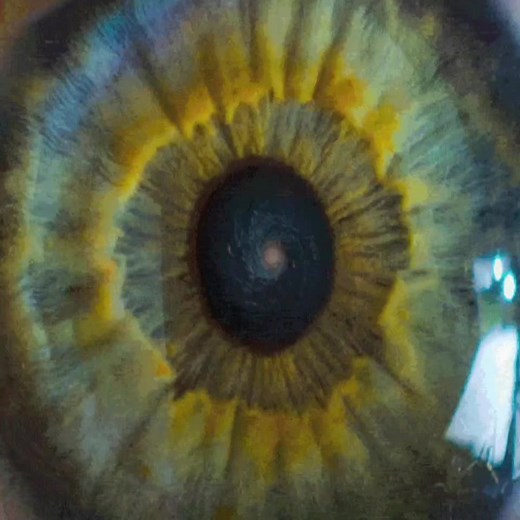 A tribute to Carl Sagan at the end. To think we are only a pale blue dot! #space #science #earth