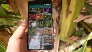 1.4M views | The Plant Doctor in your pocket - Farmer's Best Friend (Now also available in Hindi) - powered by Sharmaji Technical #thx | Plantix | Facebook