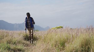 African american man wearing backpack using nordic walking poles hiking in countryside Free Stock Video Footage