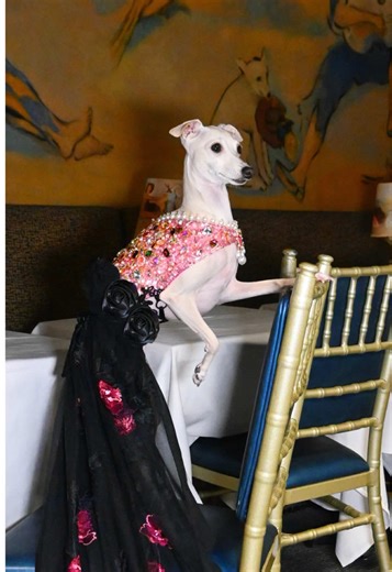 My First Fashion Week Experience