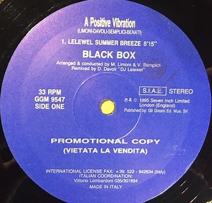 Black Box - A Positive Vibration