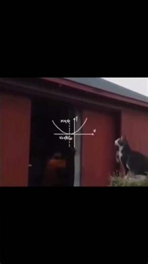 You cannot calculate life