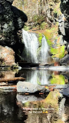 Exploring the Scenic Trails of East Stroudsburg, PA