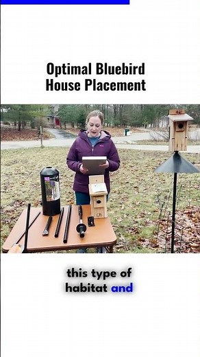 Optimal Bluebird House Placement