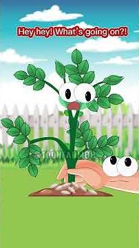 Tips to Make Rose Plants Grow More Branches #cartoonforkids #animation #farmanimalct #toonfarm