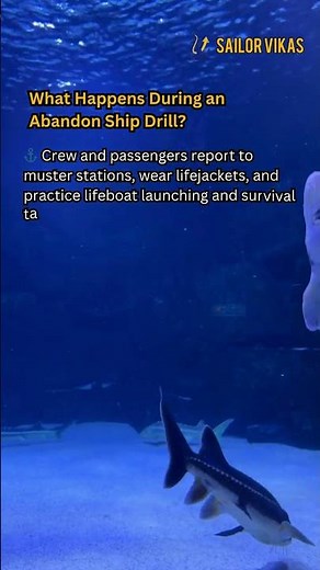 2025 Abandon Ship Drill: Survive or Sink!
