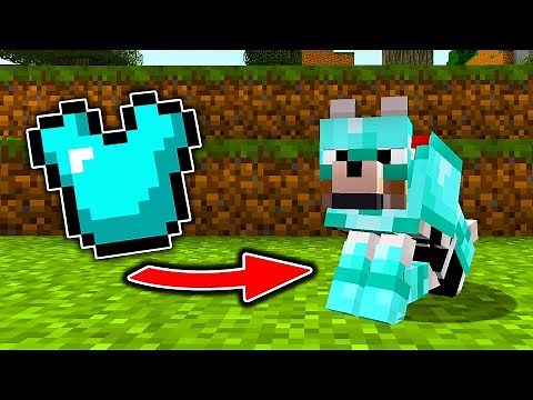 Wie WÖLFE RÜSTUNGEN in Minecraft TRAGEN können!