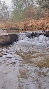 A quiet moment by the stream at Stone Mountain State Park, NC — where clear waters carve through ancient granite and create some of the park’s most peaceful scenes. If you nee @d a breath of calm today, let the mountains guide you. 🌿💧 Have you visited this hidden gem❓ #travel #usa #hike #NorthCarolina #mountains #explore #hiddengems #mountainview #stream #naturelovers | Travel With Vladislava