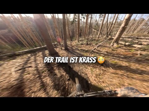 Mountain biking in the forests of the Ruhr area