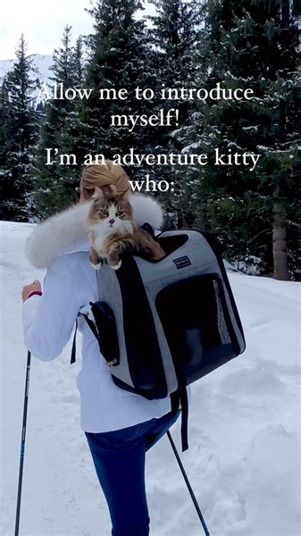 Hello to our new friends! Thank you for joining in on our adventures! We are always happy to answer any questions you may have about how to travel and adventure with your cat! All of our advice and guides are 100% free so that anyone who wants to can learn to do this! #cat #cats_of_world #catsofinstagram #hikingcat #adventurecat | Best Adventure Cat