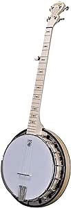 Deering Goodtime Special 5-String Banjo