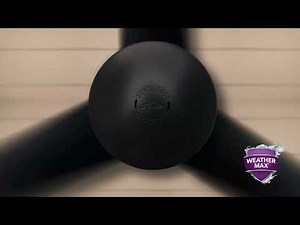 Upgrade your patio with a WeatherMax® Outdoor Ceiling Fan from Hunter