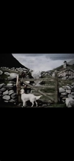 Elrond (@signor_elrond)s videor med original sound - Elrond