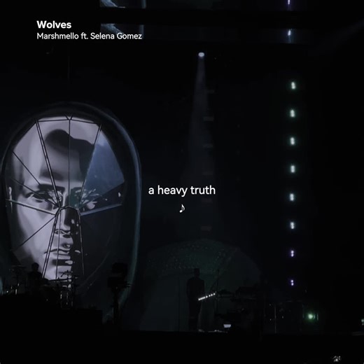 #wolves #marshmello #selenagomez #lyrics