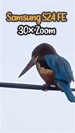 Samsung S24 fe Zoom Test #samsung #s24fe #cameratest #cbum