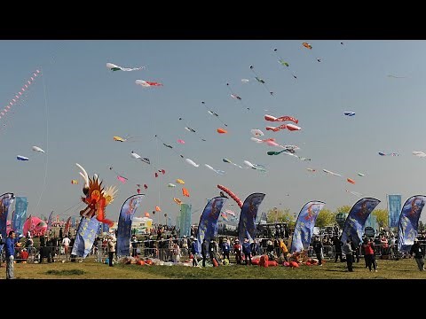 Live: Enjoy the "sea" of innovative kites at the 42nd International Kite Festival in Shandong, China
