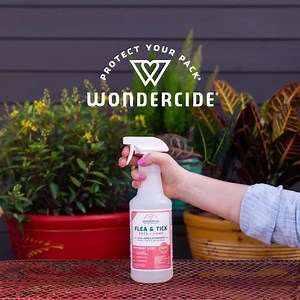 91 reactions · 12 shares | Spring has sprung  Protect your pets and home with Wondercide®'s naturally-derived flea & tick spray. | Wondercide | Facebook