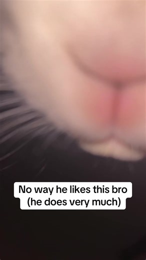 He’s a weird guy