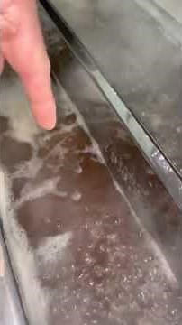 How maple sap becomes maple syrup!