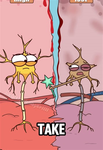 Why does the 'non-existent' limb still hurt after amputation? #foryou #2danimation #didyouknow #health