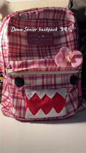 Domo Senior Backpack Review and Shoutout