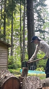 chores | Sarah Wayne Callies