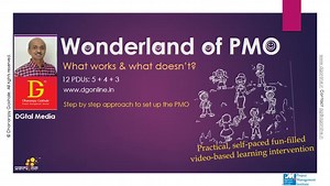 PMO: A Wonderland - What works and what doesn't