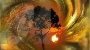 Jason Gould - Morning Prayer