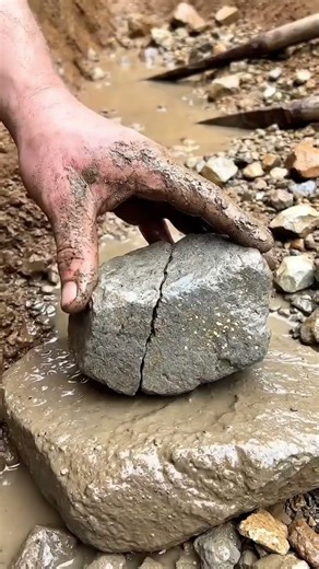 Pulled this out of the mud and found GEOMETRIC GOLD! 💰⛏️