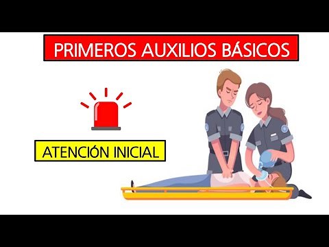Basic and Advanced First Aid: Scene Assessment