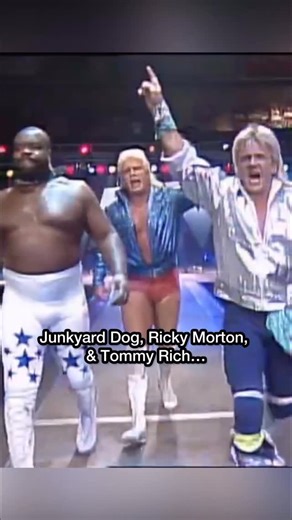 NotThatTomGreen on Instagram: "These WCW titles didn’t last a full year!"