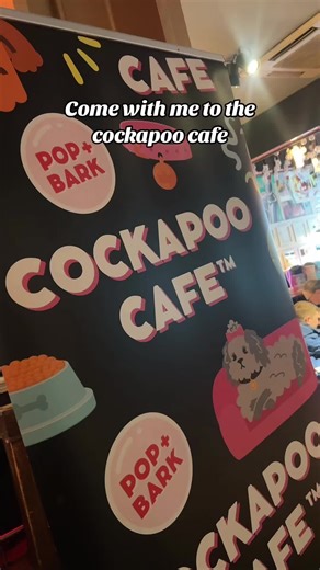 @Pop and Bark @Cockapoo Cafe #cockapoocafe #cockapoo #cockapoosoftiktoks #popandbarkevents #popandbark #fyp #viral #puppys #goldendoodle #doodle ##puppysoftiktok #dogs #dogsoftiktok #foryoupage #dogmom #dogmomlife