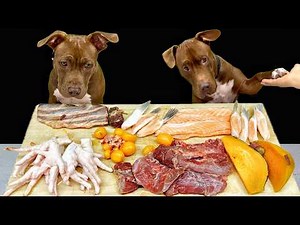 Best Dog ASMR Pitbull Eating Raw Foods