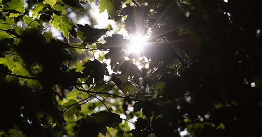 It’s officially fall — so why does it still feel like summer?