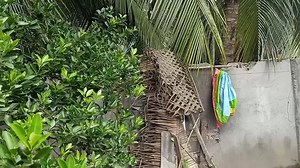 Ramdam sa bayan ng Magsaysay sa Davao del Sur ang malakas na pagyanig ng lindol ngayong Linggo ng tanghali. Makikita ang paggalaw ng ilang gamit at ng pader, ayon sa kumuha ng video na si Anthony Allada, municipal information officer ng Magsaysay. Naitala ang epicenter ng lindol sa nasabing bayan. Patuloy ang assessment kung may mga pinsala na sa mga istruktura sa lugar. Isa ang Magsaysay sa mga lugar na matinding tinamaan ng mga lindol noong 2019 sa Mindanao. Ulat ni Hernel Tocmo BASAHIN: http: