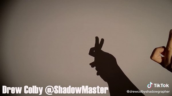 How to Make Hand Shadow Rabbit