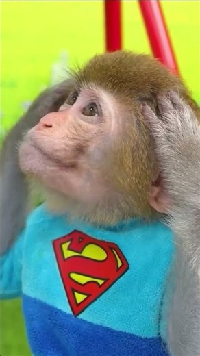 #fun #funny #funnyvideo #monkey #monkeybaby #kidsvideo #kidsplaying #nurseryrhymes