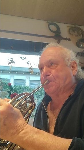 Wegweiser zum Hornspiel Nr.25 A guide how to play the horn 📯