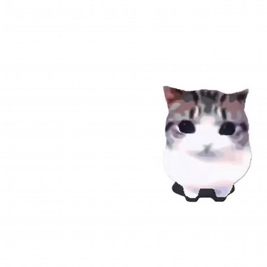 Meowpin Bam Bam Didididi — Happy Cat Dance Meme