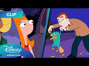 Phineas and Ferb Season 5 | Perry's Secret ALMOST Revealed?! 😱 | @disneychannelanimation - Videos For Kids