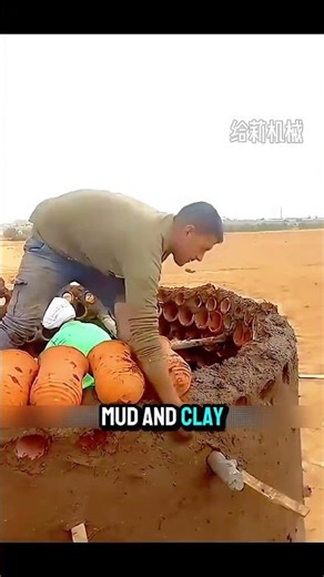 Why Families Build Pigeon Skyscrapers! 🌍🕊️ #pigeonhouse