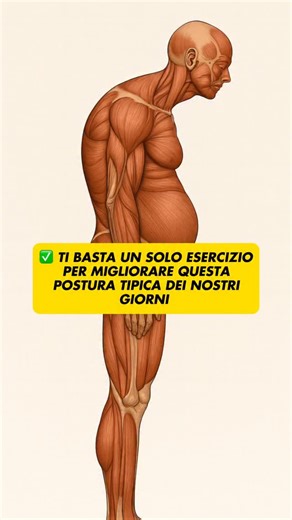 💥 PLANK INVERSO: IL SEGRETO PER POSTURA E SPALLE PIÙ FORTI 💥 Bastano 3-4 serie da 10 ripetizioni ogni giorno per ottenere grandi benefici: ✅ Corregge la postura → contrasta spalle chiuse e schiena curva da troppo tempo seduti o al pc ✅ Rinforza i muscoli posteriori → glutei, lombari, deltoidi posteriori e catena posteriore ✅ Apre il petto e le spalle → migliorando mobilità e respiro ✅ Stabilità e core → attiva addome e zona lombare in modo diverso dal plank classico 👉 È un esercizio semplice 