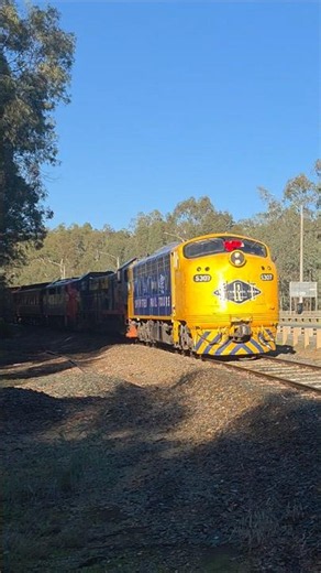 Heritage Locos coming into Moama, NSW toward to Deniliquin, NSW - 150th Anniversary of the Deni line